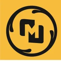 MSIR India Pvt Ltd