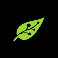 Mowgli - Your Digital Growth Partner