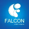 FALCON, A CHA Company FALCON, A CHA Company