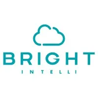 Bright Intelli LLC