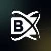 BlockchainX BlockchainX