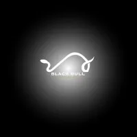 Black Bull Investors Club