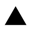 Black Breach Security Division (ITS)