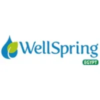 WellSpring Egypt email format