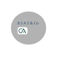 B S A S & Co