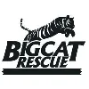 Big Cat Rescue Big Cat Rescue