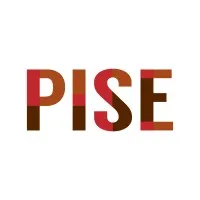 Project Incubator for Young Social Entrepreneurs (PISE)