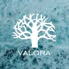 Valora Consultores