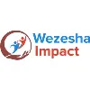 Wezesha Impact