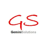 Gemini Solutions, Inc.