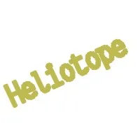 Heliotope