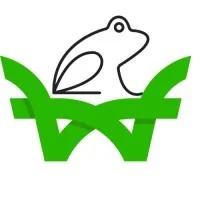 WebFrog IT Services