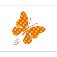 CAERUS INFOSYSTEMS CAERUS INFOSYSTEMS