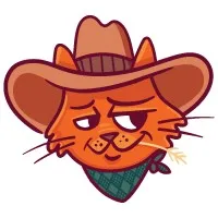 Coverage Cowboy Coverage Cowboy