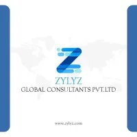 Zylyz Global Consultant Zylyz Global Consultant