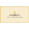 Caerus3 Advisors & Think-Tank Caerus3 Advisors & Think-Tank