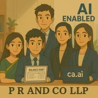 P R AND CO LLP P R AND CO LLP