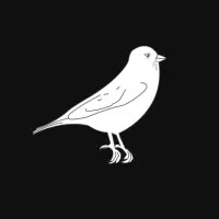 Snowfinch Consulting Group Snowfinch Consulting Group