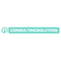 1ConsultingSolution