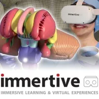Immertive Immertive