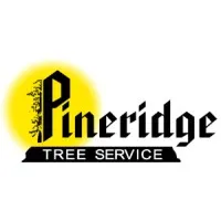 Pineridge Tree Pineridge Tree