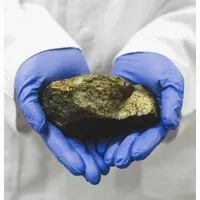 Banksia Minerals Processing