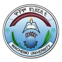 Wachemo University email format