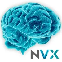 NeuroVox