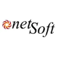 Netsoft Development