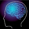 BrainMind BrainMind