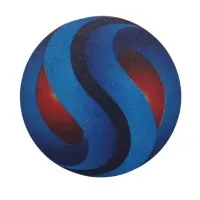 Shun Shing Cement Industries Limited