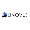 Linovus Holdings Inc Linovus Holdings Inc