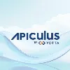 Apiculus