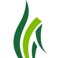 Musturf. The Lawn & Turf Company. Musturf. The Lawn & Turf Company.