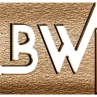 Boracchia Wiviott Wealth Partners, LLC