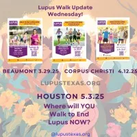 LUPUS FOUNDATION OF AMERICA TEXAS GULF COAST CHAPTER INC