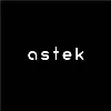 Astek Inc Astek Inc