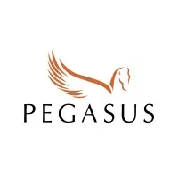 Pegasus: IT Value Acceleration Services