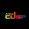 AnyCusp AnyCusp