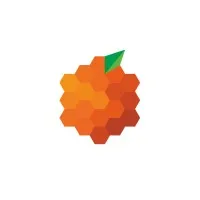 Orange Group Mexico