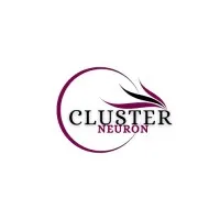 ClusterNeuron LLP ClusterNeuron LLP