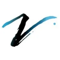 VISION Entertainment Group