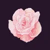 Veloria app Veloria app
