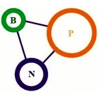BPN Consulting
