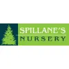 Spillane's Nursery and Landscape Co.,Inc. Spillane's Nursery and Landscape Co.,Inc.