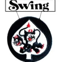 Swing Transport, Inc. swingtransport.com