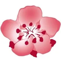 China Airlines 中華航空