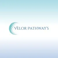 Velor Pathway's