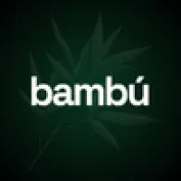 Bambú Solutions | Link Building & SEO