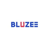 BLUZEE IT CONSULTANTS LLC.